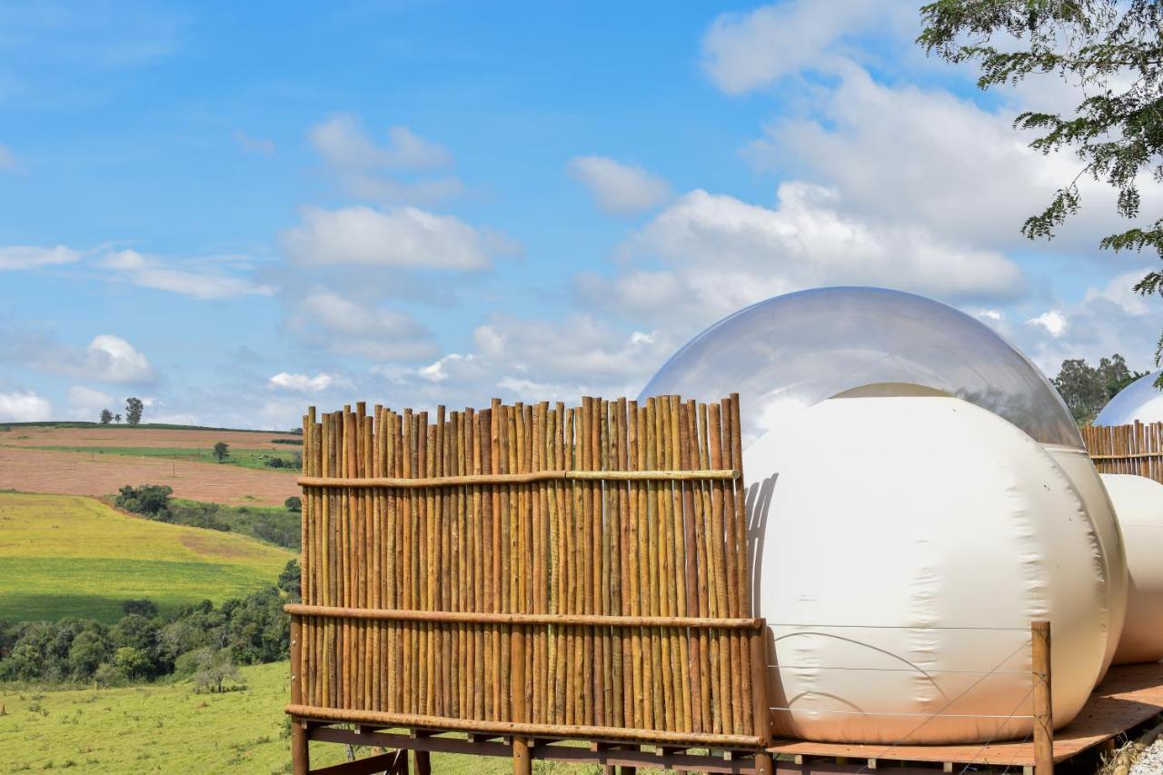 Bubble Pingo Do Mula Serra Da Canastra São Roque de Minas Eksteriør billede