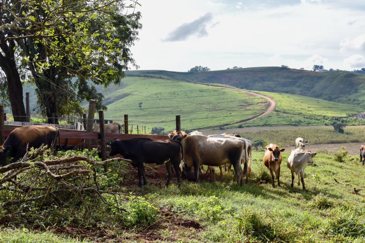 Bubble Pingo Do Mula Serra Da Canastra São Roque de Minas Eksteriør billede