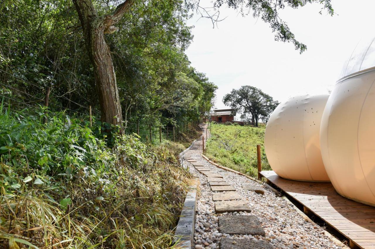 Bubble Pingo Do Mula Serra Da Canastra São Roque de Minas Eksteriør billede