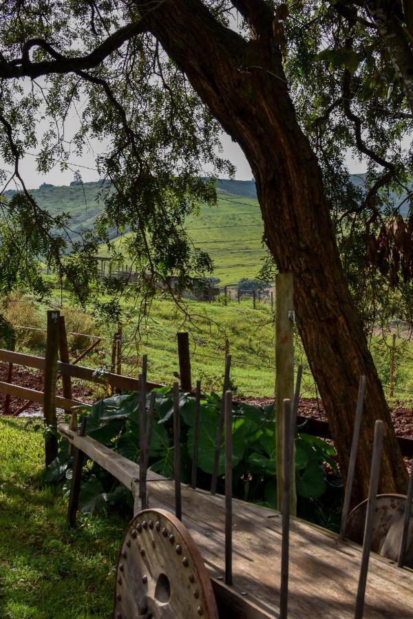 Bubble Pingo Do Mula Serra Da Canastra São Roque de Minas Eksteriør billede